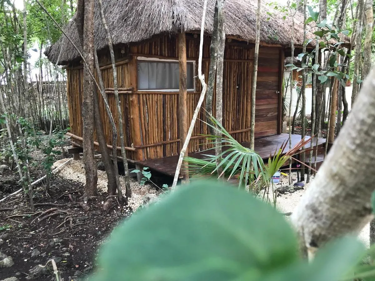 Bayou Tulum