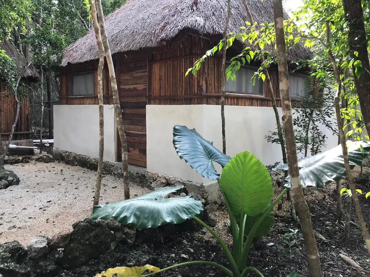 Bayou Tulum