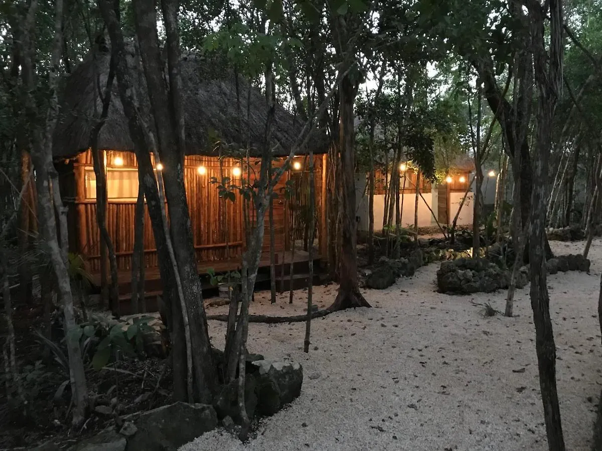 Bayou Tulum Mexico